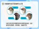 【核心素養(yǎng)】蘇教版科學(xué)六年級下冊 15《多樣的生物》課件PPT+教案