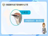 【核心素養(yǎng)】蘇教版科學(xué)六年級下冊 15《多樣的生物》課件PPT+教案