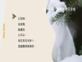 60、《兔子-拼贴》+课件