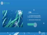 138、《海洋总动员》+课件