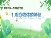 新教科版一年級下冊科學(xué)第一單元第1課《觀察物體的特征》課件