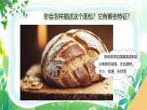 新教科版一年級下冊科學(xué)第一單元第1課《觀察物體的特征》課件