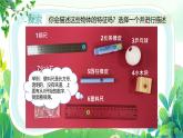 新教科版一年級下冊科學(xué)第一單元第1課《觀察物體的特征》課件