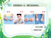 新教科版一年級下冊科學(xué)第一單元第1課《觀察物體的特征》課件
