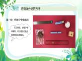 新教科版一年級下冊科學(xué)第一單元第2課《給物體分類》課件