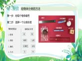 新教科版一年級下冊科學(xué)第一單元第2課《給物體分類》課件