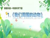 新教科版一年級下冊科學(xué)第二單元第1課《我們周圍的動物》課件