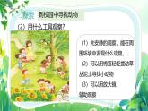 新教科版一年級下冊科學(xué)第二單元第1課《我們周圍的動物》課件