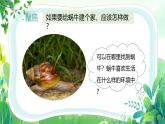 新教科版一年級(jí)下冊(cè)科學(xué)第二單元第3課《給蝸牛建個(gè)“家”》課件