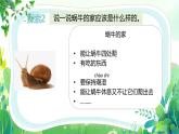 新教科版一年級(jí)下冊(cè)科學(xué)第二單元第3課《給蝸牛建個(gè)“家”》課件