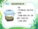 新教科版一年級(jí)下冊(cè)科學(xué)第二單元第3課《給蝸牛建個(gè)“家”》課件