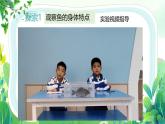 新教科版一年級下冊科學(xué)第二單元第4課《水中的動物》課件