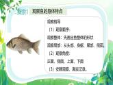 新教科版一年級下冊科學(xué)第二單元第4課《水中的動物》課件