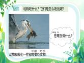新教科版一年級(jí)下冊(cè)科學(xué)第二單元第5課《它們吃什么》課件