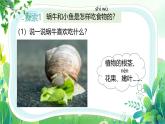 新教科版一年級(jí)下冊(cè)科學(xué)第二單元第5課《它們吃什么》課件