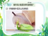 新教科版一年級(jí)下冊(cè)科學(xué)第二單元第5課《它們吃什么》課件