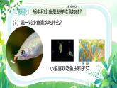 新教科版一年級(jí)下冊(cè)科學(xué)第二單元第5課《它們吃什么》課件