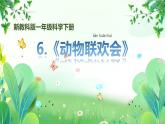 新教科版一年級下冊科學(xué)第二單元第6課《動物聯(lián)歡會》課件