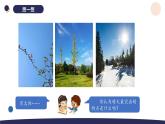 （湘科版2024）一年級科學(xué)下冊 1.1多樣的天氣（課件+教案）