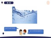 （湘科版2024）一年级科学下册 2.4认识水（课件+教案）