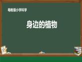 粤教版科学一年级下册(第4课 身边的植物)课件