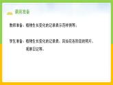 教科版科学四下 1.8 《凤仙花的一生》课件+教学设计（教学反思）+素材