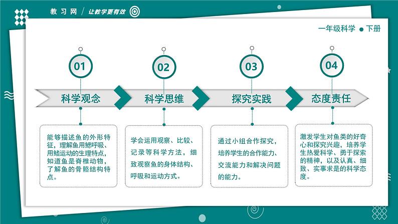 【新教材】一年级下册科学2.4水中的动物 教学PPT课件 教科版（2024）第4页