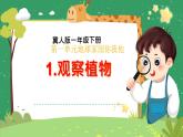 冀人版小学科学一年级下册 《1.认识植物》  课件=教案