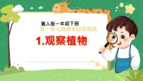 科学一年级下册（2024）1 认识植物获奖ppt课件