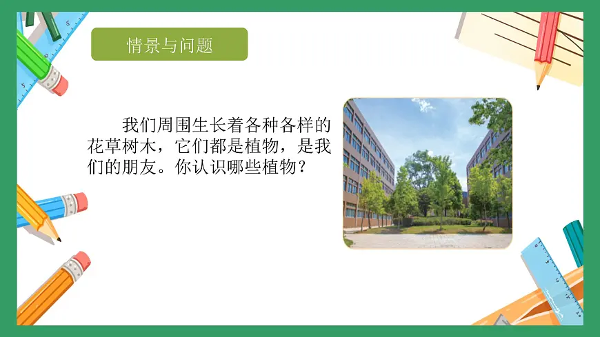 冀人版小学科学一年级下册 《1.认识植物》 课件第3页