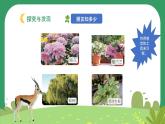 冀人版小学科学一年级下册 《1.认识植物》  课件=教案