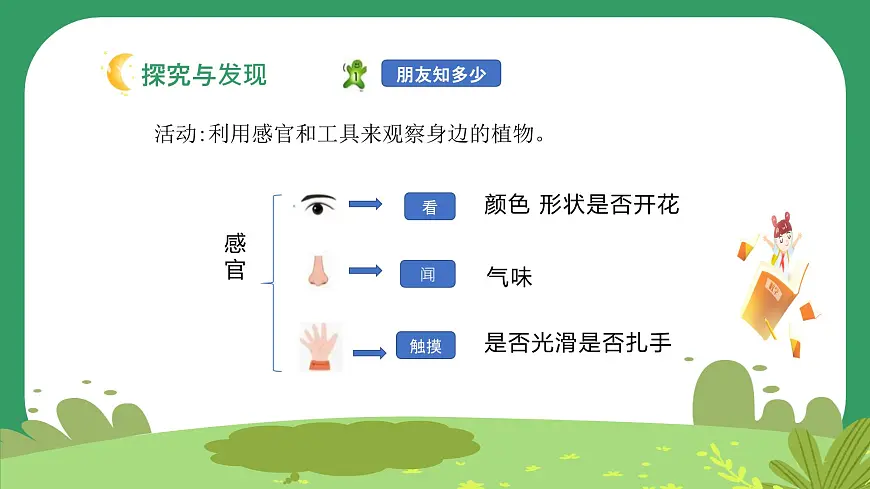 冀人版小学科学一年级下册 《1.认识植物》 课件第6页