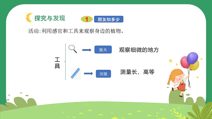 冀人版小学科学一年级下册 《1.认识植物》 课件第7页