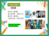 冀人版小学科学一年级下册 《2.认识动物》  课件=教案