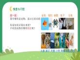 冀人版小学科学一年级下册 《2.认识动物》  课件=教案