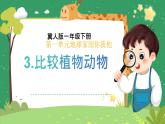 冀人版小学科学一年级下册 《3.比较植物和动物》  课件=教案