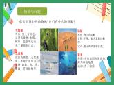 冀人版小学科学一年级下册 《3.比较植物和动物》  课件=教案