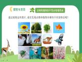 冀人版小学科学一年级下册 《3.比较植物和动物》  课件=教案
