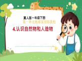 冀人版小学科学一年级下册 《4.认识自然物和人造物》  课件=教案