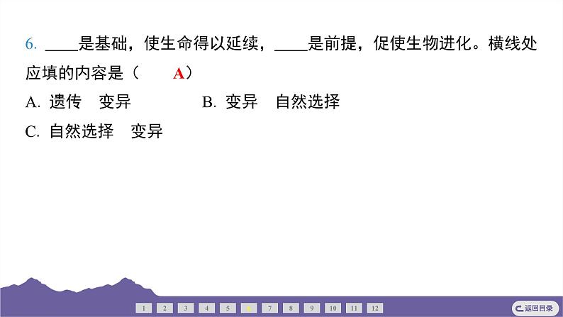 教科版（2017）科学六年级下册 2.3 形形色色的植物（习题课件）第6页