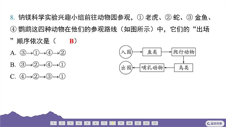 教科版（2017）科学六年级下册 2.4 多种多样的动物（习题课件）第7页