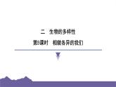 教科版（2017）科学六年级下册 2.5 相貌各异的我们（习题课件）