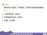 教科版（2017）科学六年级下册 2.5 相貌各异的我们（习题课件）