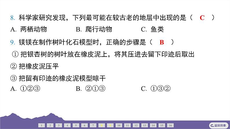 教科版（2017）科学六年级下册 2.6 古代生物的多样性（习题课件）第6页