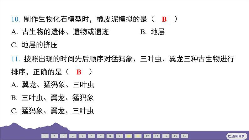 教科版（2017）科学六年级下册 2.6 古代生物的多样性（习题课件）第7页