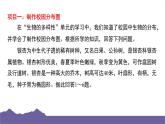 教科版（2017）科學六年級下冊 第二單元生物的多樣性 整合過關（習題課件）