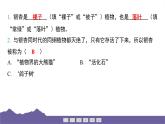 教科版（2017）科學六年級下冊 第二單元生物的多樣性 整合過關（習題課件）