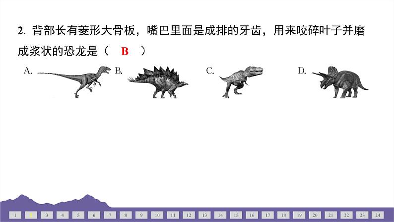 教科版（2017）科学六年级下册 期中测试（三）（习题课件）第3页