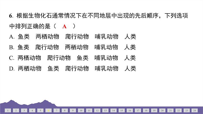 教科版（2017）科学六年级下册 期中测试（三）（习题课件）第6页