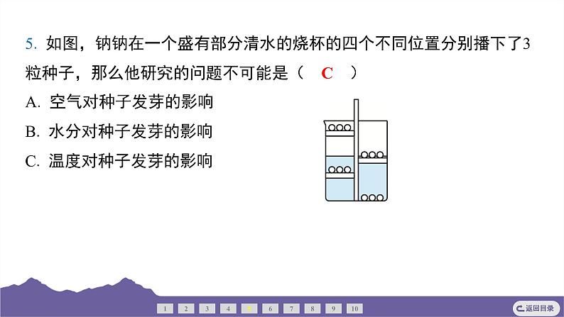 教科版（2017）科学五年级下册 1.1 种子发芽实验（习题课件）第6页